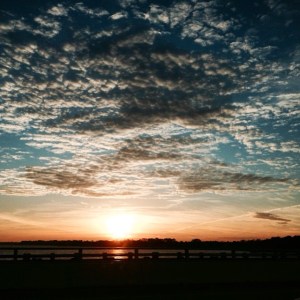 Photograph by Christina Toole  Photography(R)  